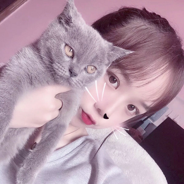 星耀女孩:好莱坞篇